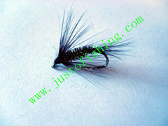 Flying insect f565