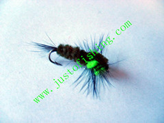 Flying insect f566