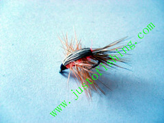 Flying insect f568