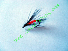 Flying insect f571