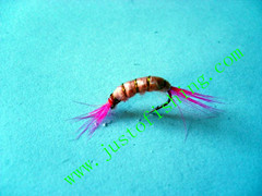 Flying insect f572