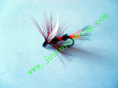Flying insect f574
