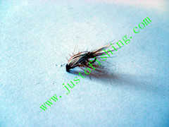 Flying insect f575