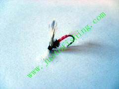 Flying insect f576