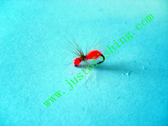 Flying insect f579