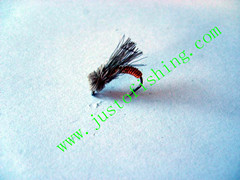 Flying insect f581