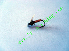 Flying insect f583